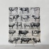 Bohemian Cow Illustration Shower Curtain, Artistic Bathroom Decor