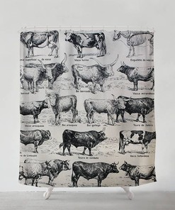 Bohemian Cow Illustration Shower Curtain, Artistic Bathroom Decor