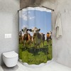 Cow Shower Curtain, Western Bathroom Decor