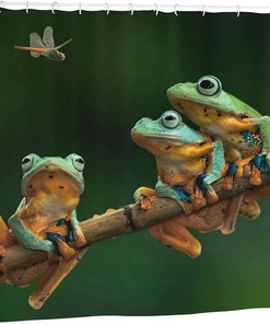 Frogs and Dragonflies Printed Shower Curtain with Rust-Resistant Grommets for Your Bathroom Decor
