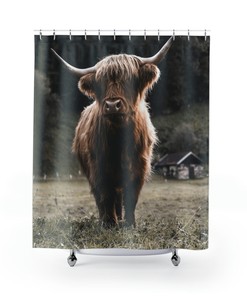 Funny Cow Shower Curtain, Scottish Cow Bathroom Decor with Highland Cow