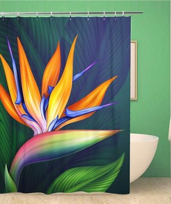 Hawaiian Strelitzia Bird of Paradise Exotic Flower Shower Curtain - Botanical Illustration Color Bathroom Decor