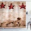 Lovely Teddy Bear Star Sleeping Adornment Nursery Baby Shower Curtain
