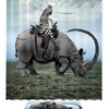 Rhino Zebra Manipulation Shower Curtain with Microfiber Accents - Animal Themed Bathroom Decor