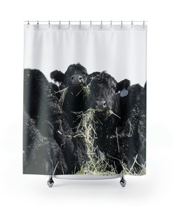 Unique Buffet Shower Curtain for Your Bathroom, Perfect for an Elegant and Classy Look