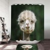 Unique Llama Shower Curtain with Fun Animal Print for Bathroom Decor