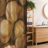 Vintage Baseball Stall Shower Curtain, American Sports Theme Leather Retro Balls Artwork Fabric Bathroom Decor