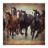 Wild Horses Fabric Shower Curtain Rustic Western Home Decor