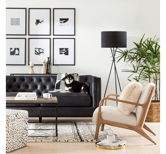 What Colors Go With A Black Sofa?