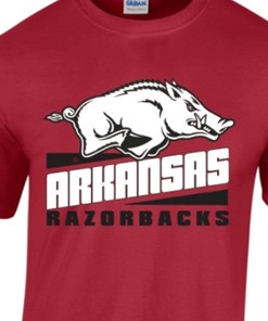 Arkansas Razorbacks Apparel Youth T-Shirt Collection - Hoodie, Sweatshirt, T-Shirt, Gift for Fans