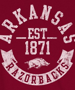 Arkansas Razorbacks Banner Year Collection - Sweatshirt, T-Shirt, Hoodie, Fan Gift