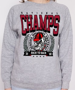 Georgia Bulldogs Football Back-to-Back National Champs Fans Gift T-Shirt