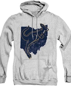 Keep it official with The University of Akron Official Ohio Unisex Adult Pull-Over Hoodie, Sweatshirt, Gifts for Fans