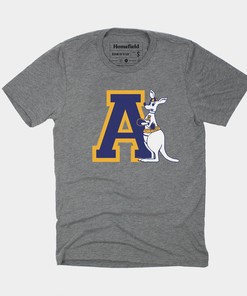 Vintage Akron Zips T-Shirt, Sweatshirt - Perfect Gift for NCAA Enthusiasts