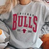 Vintage Chicago Bulls Fan Sweatshirt, Hoodie, Shirt as Basketball Fan Gear