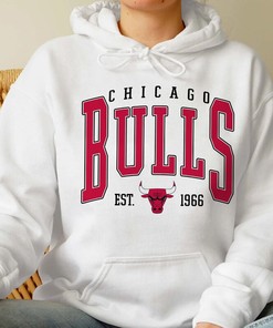 Vintage Chicago Bulls Fan Sweatshirt, Hoodie, Shirt as Basketball Fan Gear