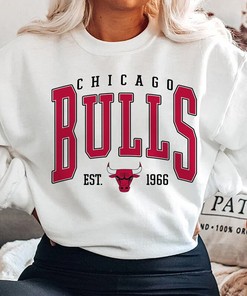 Vintage Chicago Bulls Fan Sweatshirt, Hoodie, Shirt as Basketball Fan Gear