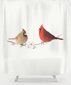 2 Cardinal Birds Pattern Shower Curtain for Bathroom Decor
