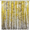 Birch Forest Shower Curtain for Bathroom Decor