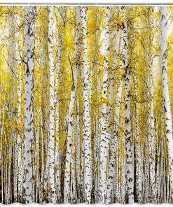 Birch Forest Shower Curtain for Bathroom Decor