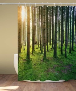 Birch Forest Sunshine Shower Curtain for Nature and Landscape Bathroom Decor 