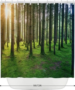 Birch Forest Sunshine Shower Curtain for Nature and Landscape Bathroom Decor