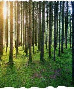 Birch Forest Sunshine Shower Curtain for Nature and Landscape Bathroom Decor 