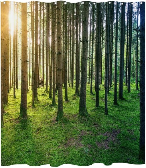Birch Forest Sunshine Shower Curtain for Nature and Landscape Bathroom Decor
