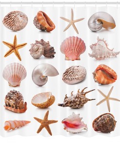 Chic and Stylish Shower Curtain with Shell Collection and Starfishes Design
