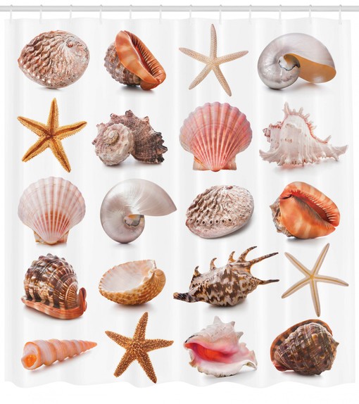 Chic and Stylish Shower Curtain with Shell Collection and Starfishes Design