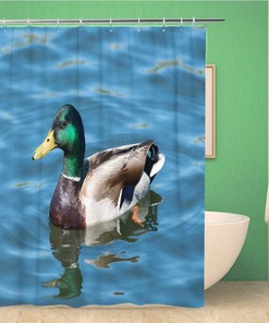 Colorful Mallard in Calm Lake Green Aires Brown Duck Waterproof Bathroom Decor Shower Curtain