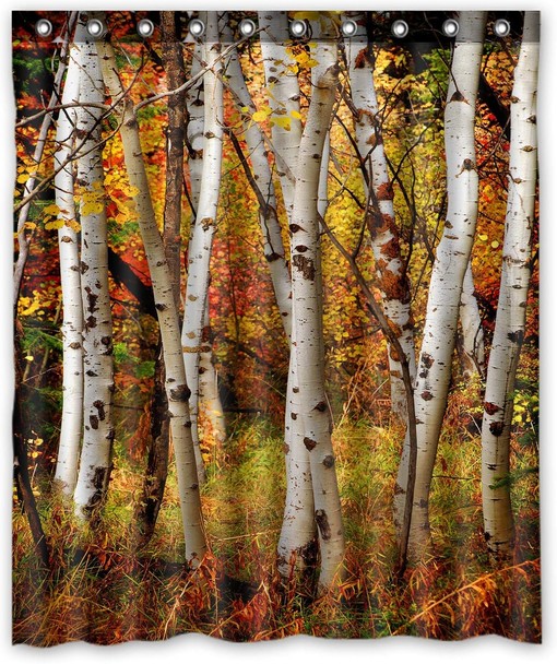 Fall Trees Shower Curtain - White Birch Bathroom Decor with Autumn Leaves Design