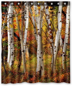 Fall Trees Shower Curtain - White Birch Bathroom Decor with Autumn Leaves Design