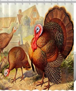 Farm Chicken Peacock Turkey Fabric Shower Curtain for Bathroom Decor