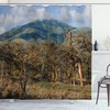 Giraffe and Trees Shower Curtain - Africa Safari Print on Fabric for Zoo Bathroom Decor