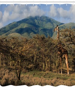 Giraffe and Trees Shower Curtain - Africa Safari Print on Fabric for Zoo Bathroom Decor