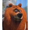 Grizzly Bear Animation Shower Curtain - Cute Animal Bathroom Decor, Waterproof Bath Curtain