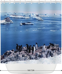 Marine Life and Glacier Shower Curtain with Penguins 