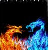 Medieval Dragon Fantasy Shower Curtain for Bathroom Decor