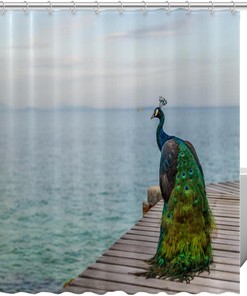 Peacock Shower Curtain for Bathroom Decor