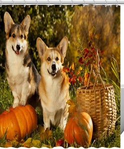 Pumpkin Fall Shower Curtain with Cute Corgi Dogs for Pet Lovers Bathroom Decor 