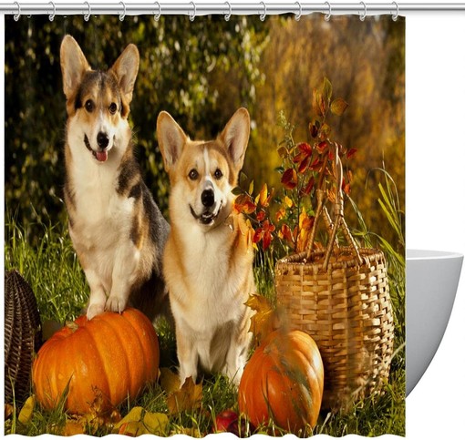 Pumpkin Fall Shower Curtain with Cute Corgi Dogs for Pet Lovers Bathroom Decor