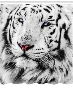 Rare White Tiger Eyes Shower Curtain - Wildlife Bathroom Decor