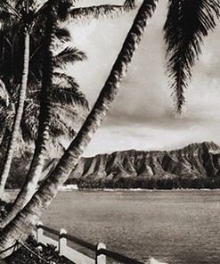 Vintage Hawaii Waikiki Diamond Head Poster Shower Curtain