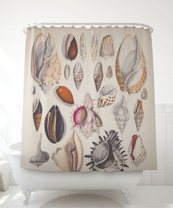 Vintage Sea Shell Illustrations Printed Shower Curtain Bathroom Decor