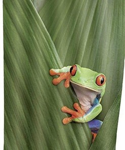 WENKO Frog Shower Curtain for Bathroom Decor, Home Decor Style