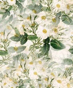White Rosaosa Print Vintage Shower Curtain for Fresh Bathroom Decor