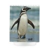 Wild Penguin Shower Curtain with Adorable and Cute Print - Unique Bathroom Decor