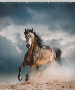Wild Stallion in Dust Horse Shower Curtain with Rustproof Decor - Unique Bathroom Accessories