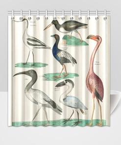 Zoology Birds Plate Animal Shower Curtain - Wildlife Print on Fabric for Nature Bathroom Decor